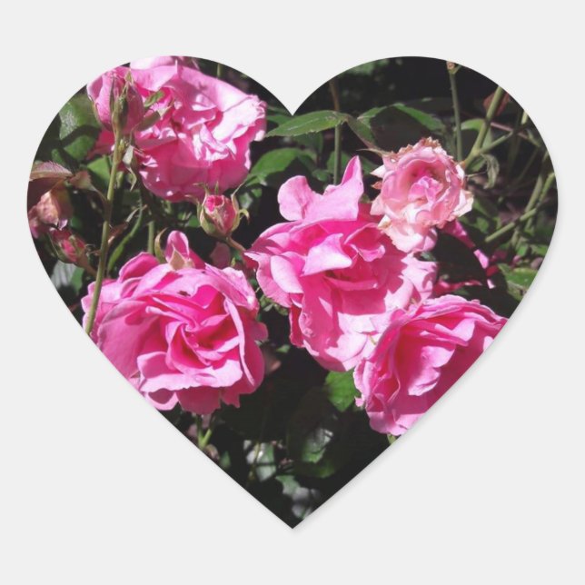 Pink Roses Stickers (Front)
