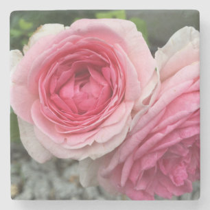 Pink Roses Stone Coaster