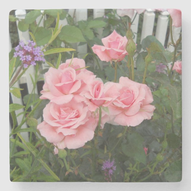 Pink Roses  Stone Coaster (Front)