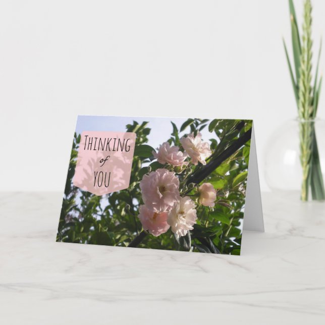 Pink Roses Thinking of You Card (Front)