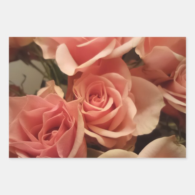Pink Roses Wrapping Paper Sheet (Front)