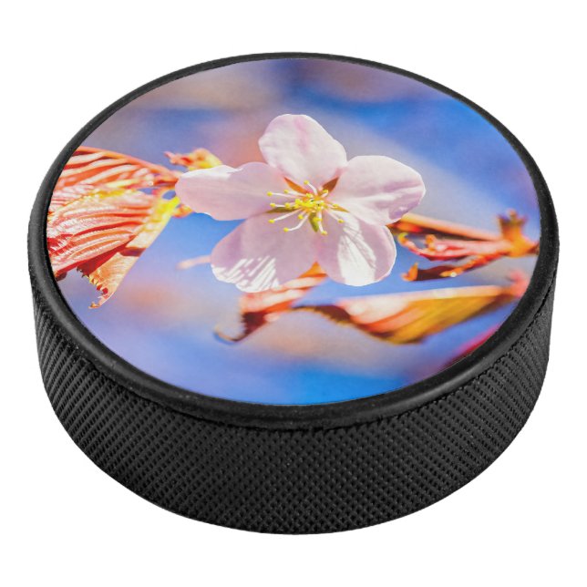 Pink Sakura Flower Blue Sky Hockey Puck (3/4)