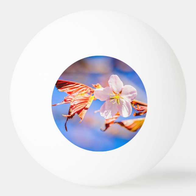 Pink Sakura Flower Blue Sky Ping Pong Ball (Front)