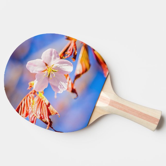 Pink Sakura Flower Blue Sky Ping Pong Paddle (Back Side)