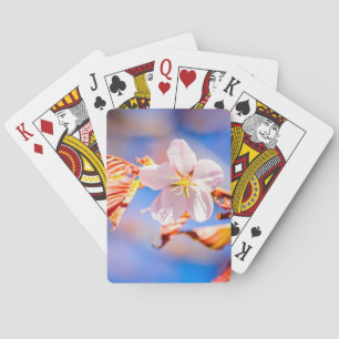 Pink Sakura Flower Blue Sky Playing Cards