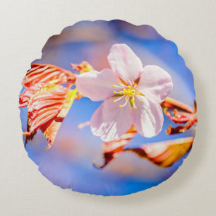 Pink Sakura Flower Blue Sky Round Pillow