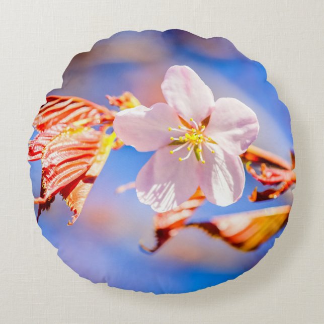 Pink Sakura Flower Blue Sky Round Pillow (Front)