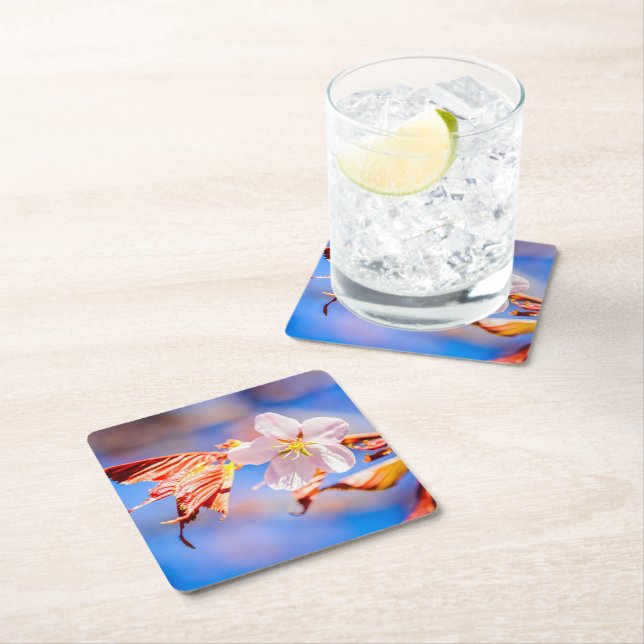 Pink Sakura Flower Blue Sky Square Paper Coaster (Insitu)