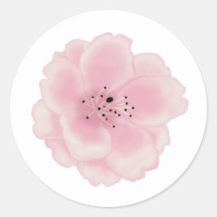Pink sakura flower. classic round sticker