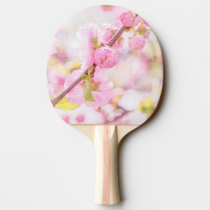 Pink sakura flowers - Japanese cherry blossom Ping Pong Paddle