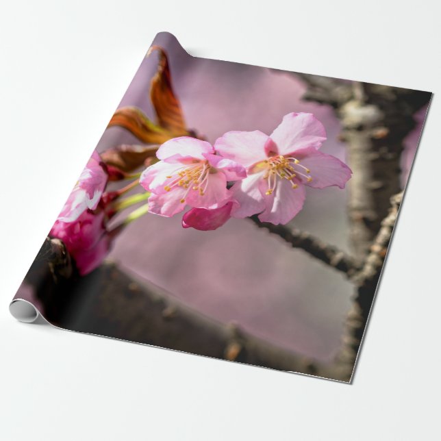 Pink Sakura Flowers On A Tree Wrapping Paper (Unrolled)