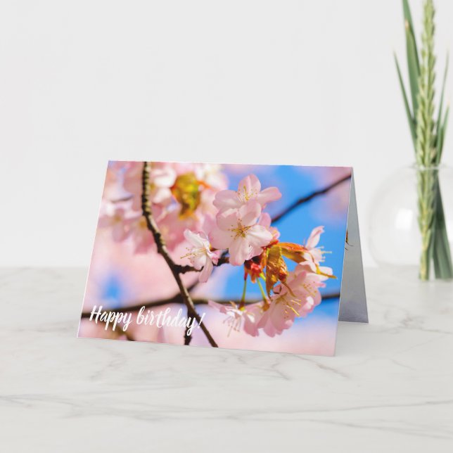 Pink Sakura Flowers On A Warm Day Of Springtime Card (Front)