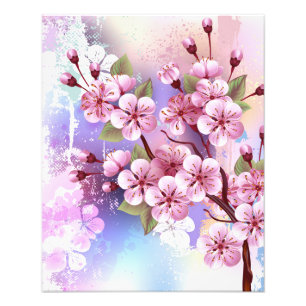 Pink Sakura on Painting Background Photo Print