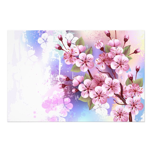 Pink Sakura on Painting Background Photo Print (Front)