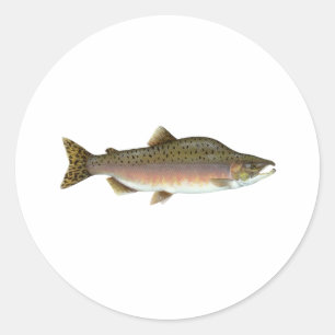 Pink Salmon Classic Round Sticker
