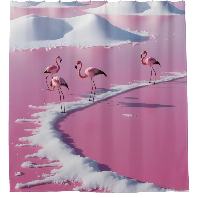 Pink salt flats in bonaire (Front)