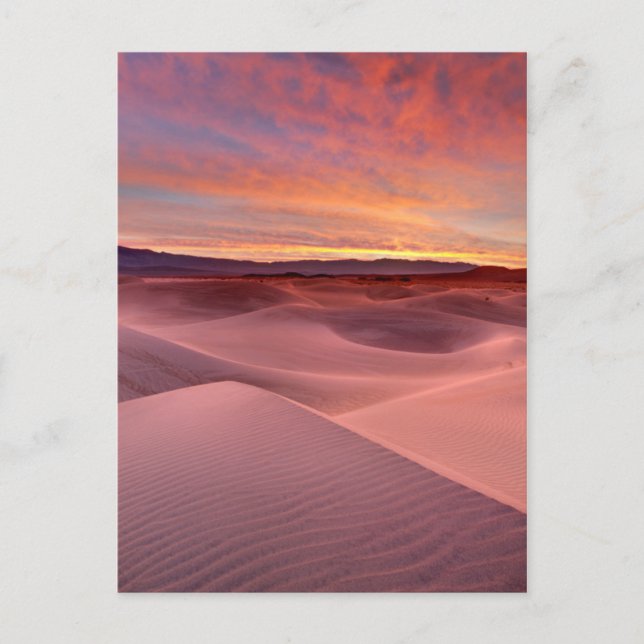 Pink sand dunes, Death Valley, CA Postcard (Front)