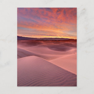 Pink sand dunes, Death Valley, CA Postcard