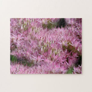 Pink Sedum Autumn Flowers Multiplied Jigsaw Puzzle