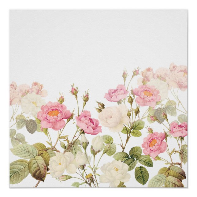 Pink Sepia Vintage Roses Meadow Illustration Poster (Front)