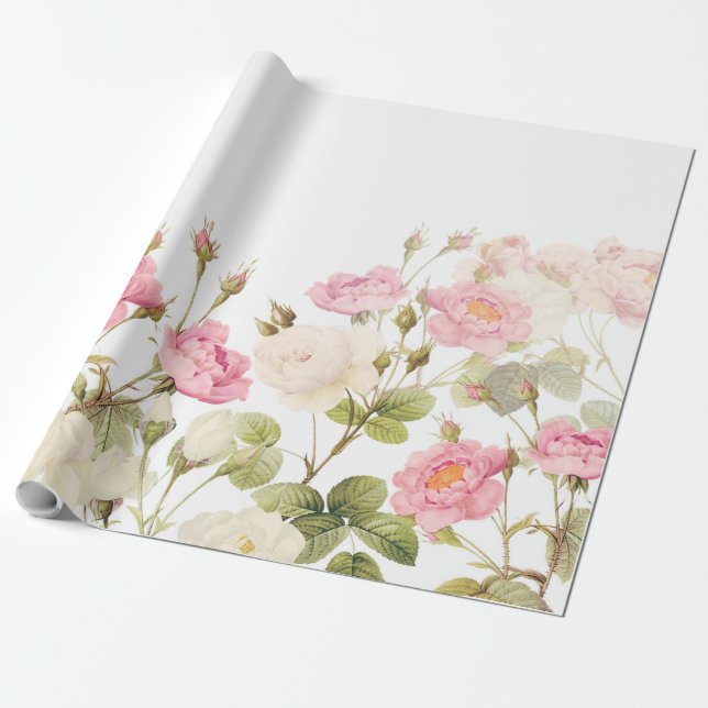 Pink Sepia Vintage Roses Meadow Illustration Wrapping Paper (Unrolled)