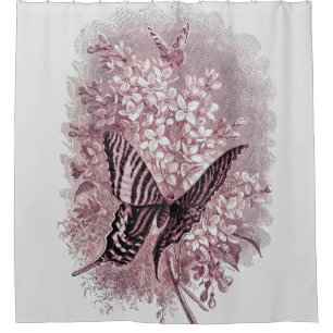Pink Shades of Garden Butterfly
