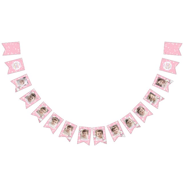 Pink Silly Goose-Girl First Birthday Monthly Photo Bunting Flags (All)