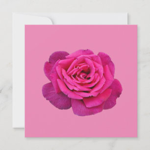 Pink single rose invitation