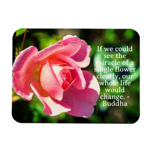 Pink Single Rose Motivational Quote Magnet