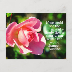 Pink Single Rose Motivational Quote Postcard