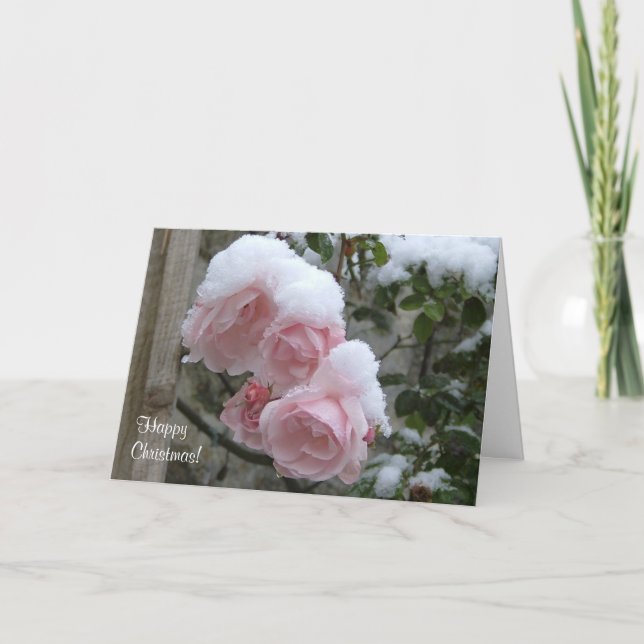 Pink snow covered roses Xmas Holiday Card (Front)