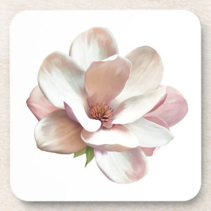 Pink Southern magnolia Coaster