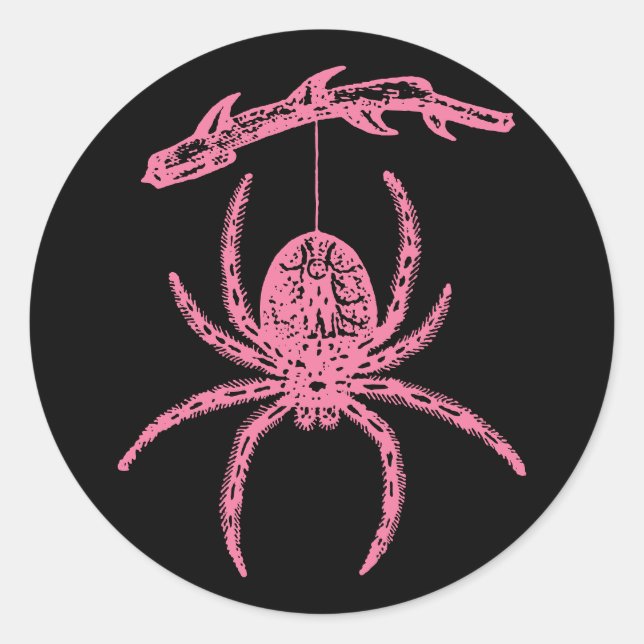 Pink Spider Classic Round Sticker (Front)