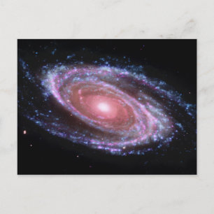 Pink Spiral Galaxy Postcard