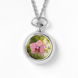 Pink spotted orchid  watch