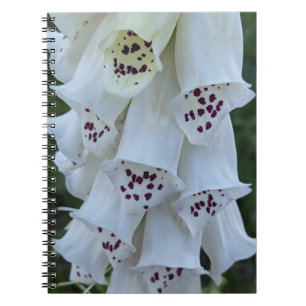 Pink Spotted White Foxglove Floral Notebook