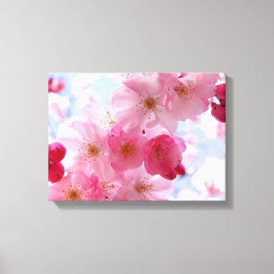 Pink spring blossom floral canvas print