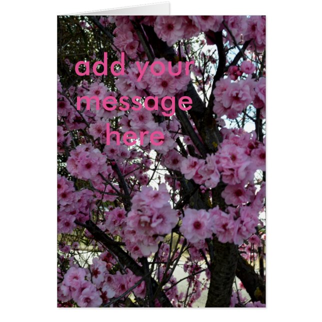 Pink Spring Blossom Tree, (Front)