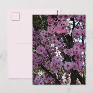 Pink Spring Blossom Tree, Birthday Postcard