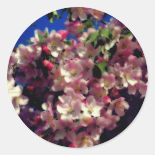 Pink Spring Blossoms Flower Classic Round Sticker