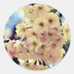 Pink Spring Blossoms Flower Classic Round Sticker