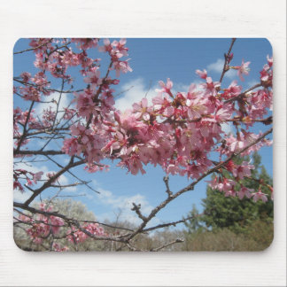 Pink Spring Blossoms Mouse Pad