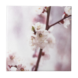 Pink spring blossoms tile