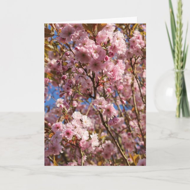Pink Spring Cherry Blossom Card (Front)
