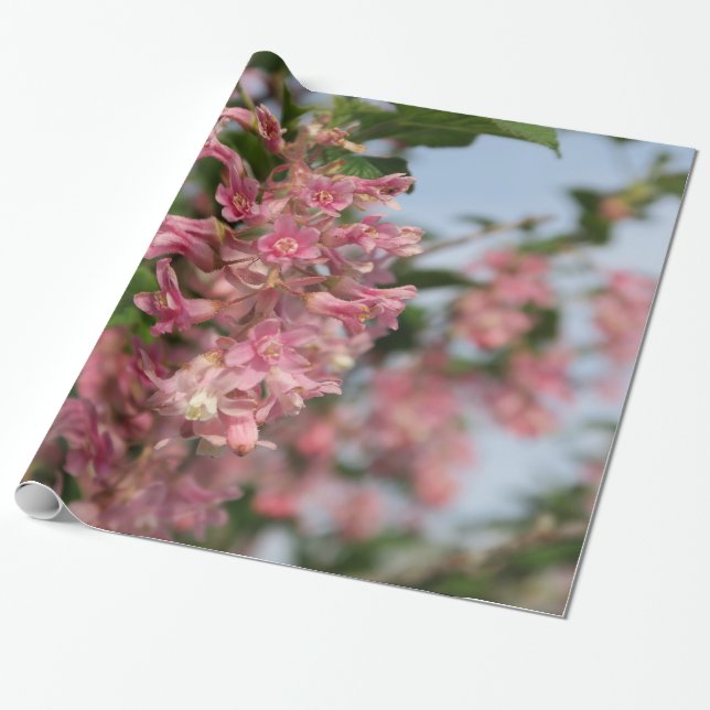pink spring flower wrapping paper (Unrolled)
