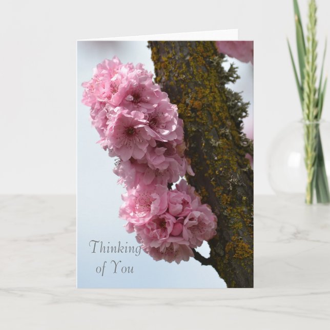 Pink Spring Flowering Tree Card (Front)
