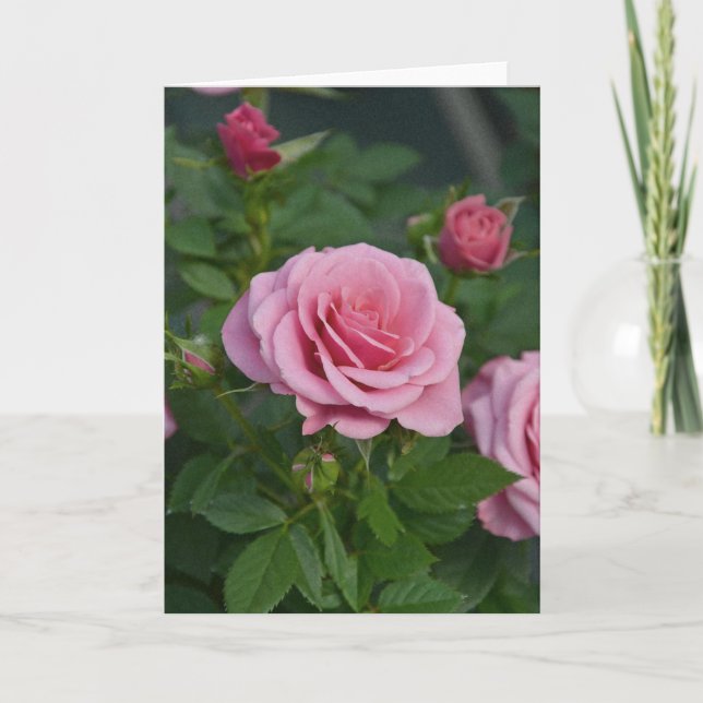 Pink spring roses print greeting card (Front)