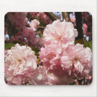 Pink Spring Tree Flowers Mouse Pad