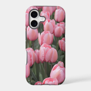 Pink Spring Tulip Flowers
