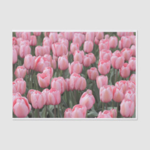 Pink Spring Tulip Flowers  Tissue Paper